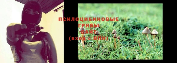 PSILOCYBIN Киренск