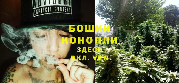 PSILOCYBIN Киренск