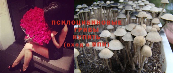 меф Киреевск